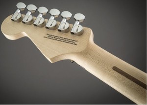  Charvel Warren DeMartini Artist Serisi San Dimas Akçaağaç Klavye Skulls Elektro Gitar